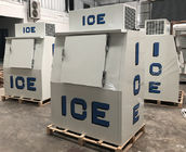 固体ドアの屋外の氷の冷却装置の袋に入れられた氷貯蔵のフリーザー