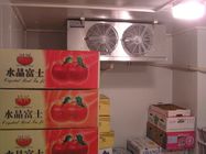 野菜フルーツの凍結のための小型低温貯蔵部屋の空冷のタイプ
