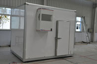 顧客用振動ドアの低温貯蔵部屋多機能SASO SGS