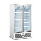 カスタマイズされたスーパーマーケットのフリーザーの冷凍食品の表示冷却装置