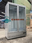 デジタル制御の商業フリーザーのガラス ドア ファンの冷却の冷凍庫は冷凍食品およびアイス クリームを表示する