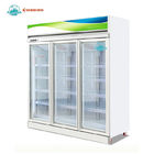 商業冷凍食品の直立した表示ガラス3つのドアのフリーザー
