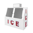 商業2つのドアによって袋に入れられるアイス・キューブのマーチャンダイザーの貯蔵のフリーザー箱の容器