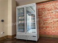 R134Aの冷たい飲み物のクーラー2のガラス ドア冷却装置