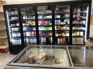 冷凍食品のためのCarelのサーモスタットの商業直立したフリーザー