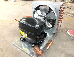 商業氷の収納用の箱の屋内100 CUを冷却するファン。フィート倍のガラス ドアのタイプ1