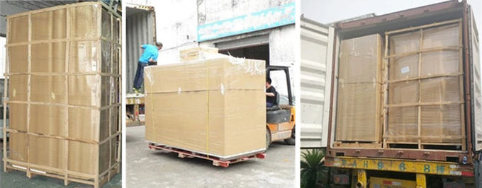 20GP商業単一の傾けられたドアのアイス・キューブのフリーザー9