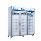ペプシのフリーザー500lの倍のガラス ドアの冷たいショーケースの表示冷蔵庫の冷凍庫を表示しなさい