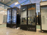 大きい容量の二重ガラス ドアが付いている縦の陳列ケースのフリーザー