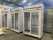 大容量の単一の温度の冷凍装置の冷たい飲み物の表示冷却装置